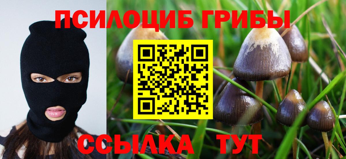 Псилоцибиновые грибы прущие грибы Павлово