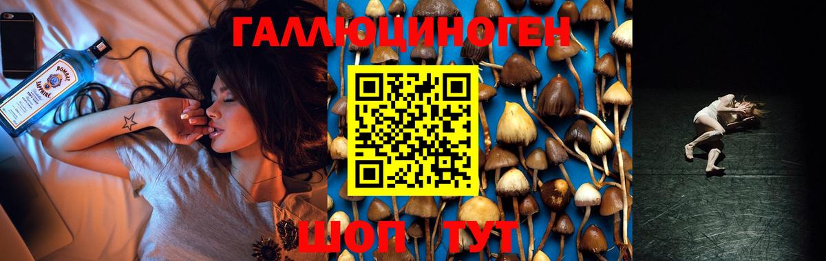 Псилоцибиновые грибы MAGIC MUSHROOMS  Псилоцибиновые грибы прущие грибы  Вход с VPN  Павлово 